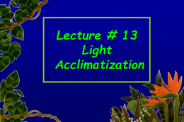 Lecture 6- Light Acclamitization