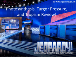 Photosynthesis, Turgor, Tropisms Jeopardy