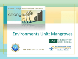 Mangroves PPT - University of South Florida