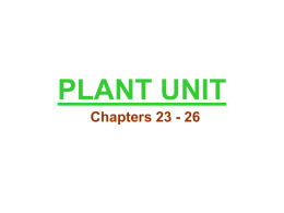 Unit 14 Plants PPT
