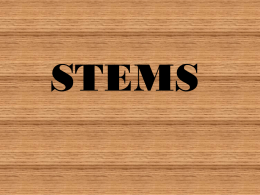 Intro. to Stems and Dendrochronology