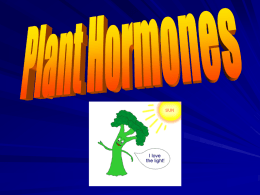 Ch. 5 Plant Hormones