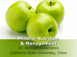 Mineral_Nutrition_talk