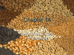 Chapter 14 - sullivan east ffa