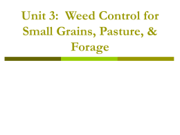 Unit 3: Weed Control for Small Grains, Pasture, & Forage