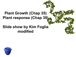 Plant growth/responses - local.brookings.k12.sd.us