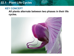 22.1 Plant Life Cycles