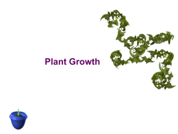 Woody plants grow in diameter from sides secondary growth