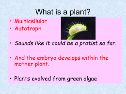 Plant_powerpoint - District 128 Moodle