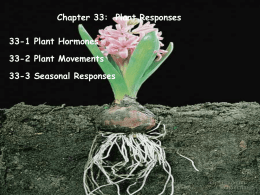 Chapter 33-Plant Responses