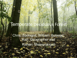 Temperate Deciduous Forest - cooklowery14-15