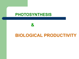 biological productivity