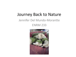 Journey Back to Nature