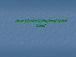 How Plants Colonized onto Land