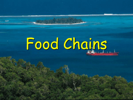 Food Chain - Oakgrove Integrated Primary School