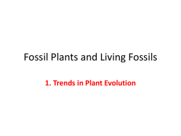 Fossil Plants and Living Fossils