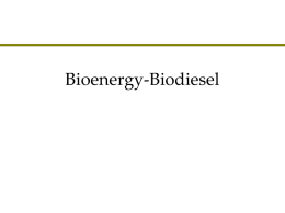 Lecture 23 - Bioenergy