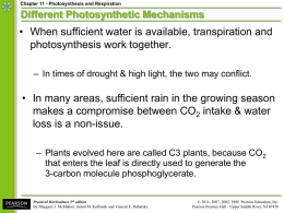 Different Photosynthetic Mechanisms