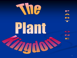 13_Plant_Kingdom_Part_One