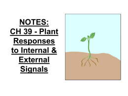 Plant Responses to STRESS