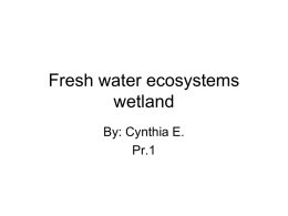 Fresh water ecosystems wetland