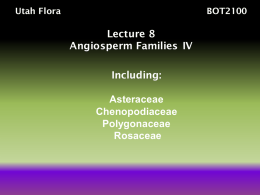 Lecture8 - Utah Valley University Herbarium