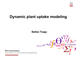 Dynamic model