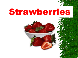 Strawberries - Glen Rose FFA