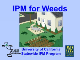 IPM for Weeds - San Diego Master Gardeners