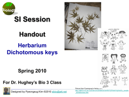 Herbarium & Dichotomous keys - Chemistry-i