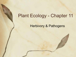 Herbivory & Parasitism