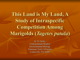 This Land is My Land, A Study of Intraspecific Competition Among