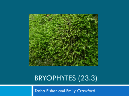 Bryophites (23.3)