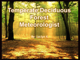 Temperate Deciduous Forest Meterologist