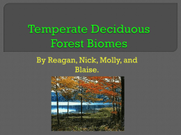Temperate Deciduous Forest Biomes