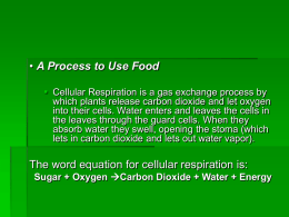 A Process to Use Food