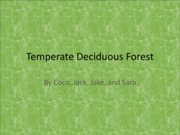 Temperate Deciduous Forest - Fitz
