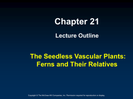 chapter_21_lecture