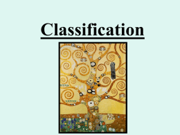 Classification ppt