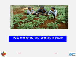 Pest monitoring