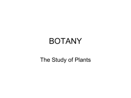 Botany-2015-DT-outline - Fluvanna Master Gardeners