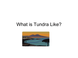 What is Tundra Like?