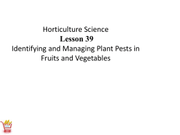 Identifying-and-Managing-Plant-Pest-in-Fruit-and - Mid