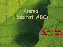 sample animal book- partial