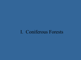 I. Coniferous Forests - Crestwood Local Schools