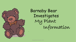 Barnaby Bear Investigates: My Plant Information