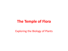The Temple of Flora