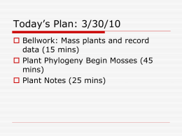 Plant Phylogeny Notes