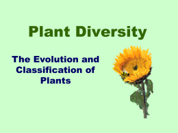 Plant Divisions - Fort Thomas Independent Schools