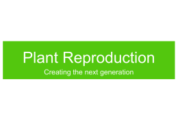 Ch44a-Plant_reproduction
